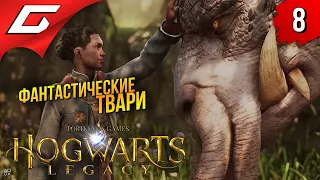 ФАНТАСТИЧЕСКИЕ ТВАРИ ➤ Hogwarts Legacy ◉ Прохождение #8