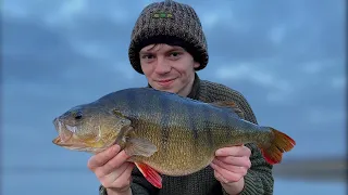 HOW to catch BIG PERCH