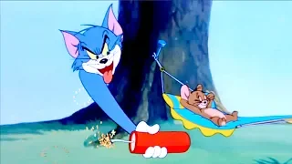 Tom y Jerry Clásico en Español ★ 1 Million Hamster Pups ★★ Dibujos animados para niños