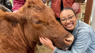 Old MacDonald Had a Sanctuary Farm