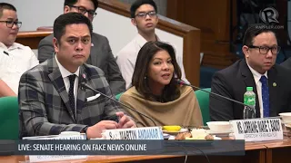 Lorraine Badoy: Leni Robredo is purveyor of fake news