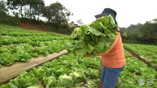 Agro. Do campo pra você - 27 de abril de 2024