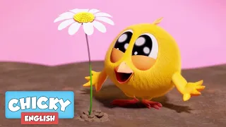 Where's Chicky? Funny Chicky 2020 | FLOWER POWER | Chicky Cartoon in English for Kids