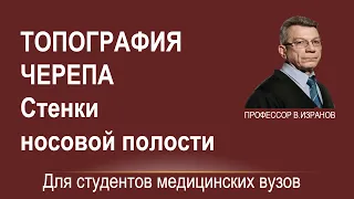 Топография черепа. Стенки носовой полости.