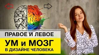 Левое и правое в Дизайн Человека. Что означают стрелки в карте?