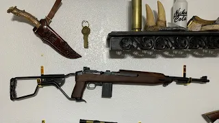 Chiappa M1-22: Did I Find A Good One?