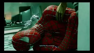 Spiderman Gets Attacked