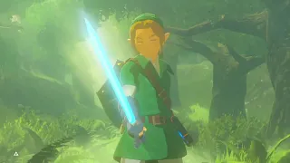 The Hero of Time unlocks the Master Sword's true potential