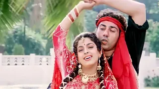 Tu Dharti Pe Chaahe Jahaan Bhi Rahegi-Jeet((💞 Love Song 💞))Alka Yagnik, Kumar Sanu,Sunny Deol....