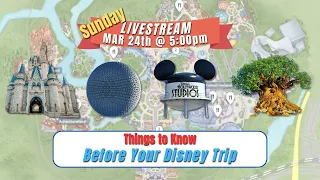 LIVESTREAM | What To Know Before Your Next Disney Trip