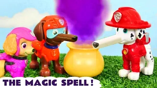 How will the Pups reverse Witch Funlings Magic Spell