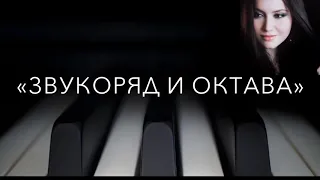 Звукоряд и октава. Теория музыки для новичков.