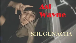 Asl Wayne - Shugunacha (XXXTENDACION - Look at me [Cover])