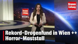 Rekord-Drogenfund in Wien ++ Horror-Maststall