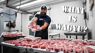 Wagyu Beef and Kobe Beef [What's the Difference?] The Bearded Butchers Answer and Grill!