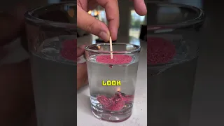 The Magic of Hydrophobic Sand 🤯