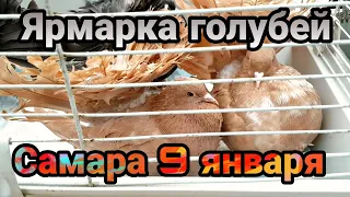 ЯРМАРКА ГОЛУБЕЙ 09.01.2022г