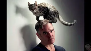 Morrissey - Suedehead (Remastered Audio) HQ