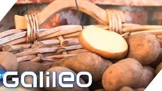 Die wichtigsten Nahrungsmittel der Welt | Galileo Lunch Break