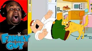 Family Guy Try Not To Laugh Challenge #33