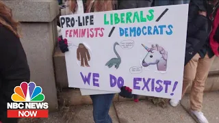 Pro-life Democrats Struggle To Find Acceptance On Either Side Of The Aisle | NBC News Now