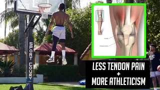 How to Train the Tendons to Avoid Jumpers Knee and Improve Vertical Jump