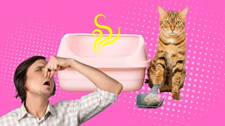 How Often To Change Cat Litter - Cat Health #Shorts