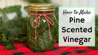 How to Make Pine Scented Vinegar for Cleaning | Easy DIY Recipe Video