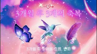 타로 🔮 당신의 3개월 후 & 3개의 축복 ➸ 타임리스 리딩 ✴︎