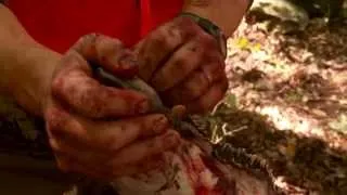 How to Remove Elk Ivories with Steven Rinella - MeatEater