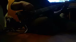 Shakers Song Spyro Gyra Headless bass test