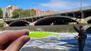 There are LOADS of BIG Fish in this Spillway! ft. @BackroadsAngling