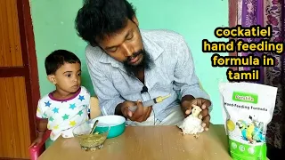 cockatiel hand feeding formula in tamil#handfeeding