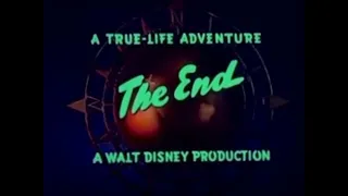 A true-life adventure the end a Walt Disney production (1955)
