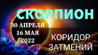 🦂 СКОРПИОН . ♏ КОРИДОР ЗАТМЕНИЙ 30 АПРЕЛЯ - 16 МАЯ 2022г.. ОБЩАЯ ЭНЕРГЕТИКА, ПОДСКАЗКИ.