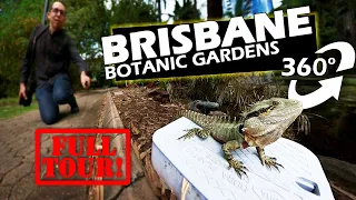 Check THIS OUT! | 360° interactive walk through Brisbane City Botanic Gardens