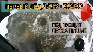 ЛЁД ТРЕЩИТ - ЛЕСКА ПИЩИТ !!!Жерлицы / Первый лёд 2019 - 2020 Первые трофеи сезона