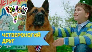 Ералаш Четвероногий друг (Выпуск №328)