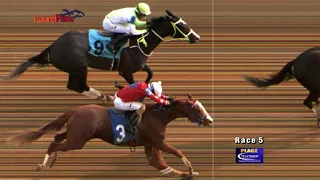 LAUREL PARK 12 28 2019 RACE 5 THE GIN TALKING STAKES