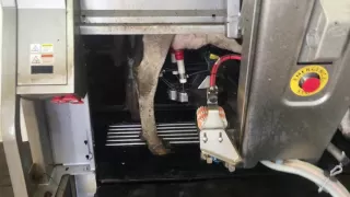 Lely robotic milker