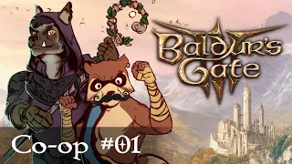 Let's Play Baldur's Gate 3 Co-op Part 1 - BRAIN SQUID SPACESHIP (Patreon Game)
