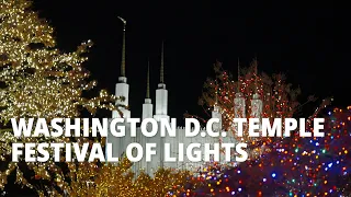 Festival of Lights Begin at Washington D.C. Temple