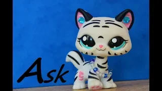 Littlest Pet Shop: Ask #3 (Proč nenatáčím, Trojka cti...)