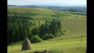 Хата край дороги