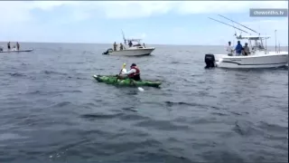 Bull Shark Pulls Fisherman into Water