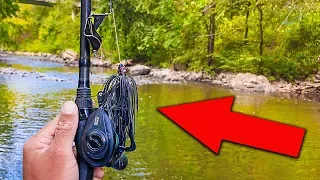 Best Fall Fishing Technique (INSANE Topwater Blowups)