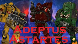Warhammer 40 000 LORE - Kapituly Adeptus Astartes / Vesmírní mariňáci