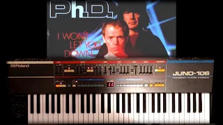 I Won't Let You Down - Synthesizer Intro (with my Juno-106) (PhD Keyboard Cover)