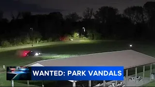 Multiple suspects sought after Bucks County park destroyed by reckless driving