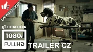 Dogman (2018) CZ HD trailer